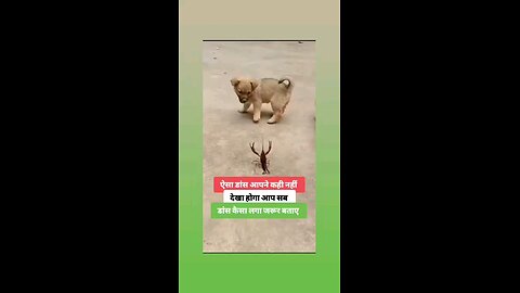 लवली विडिओ