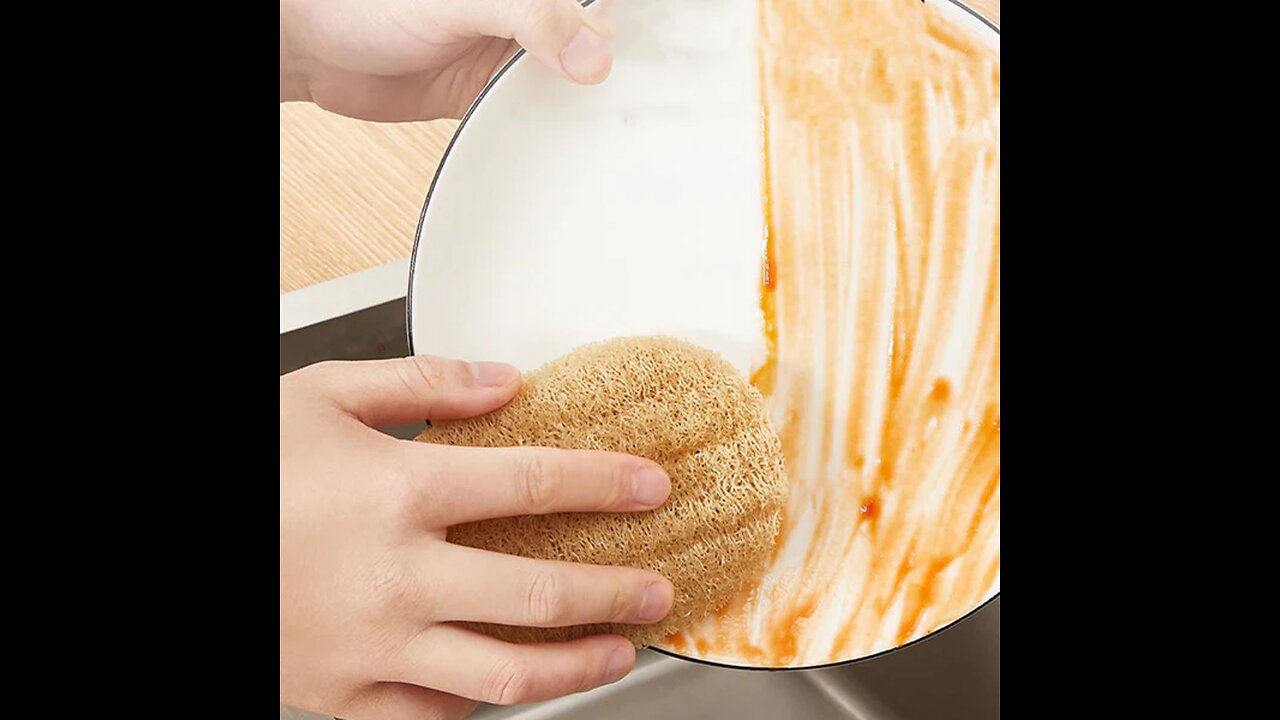 Natural Luffa Dishwashing Sponge