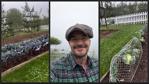 David Beckham’s Humble Roots & Farm Adventures – “So Different!”