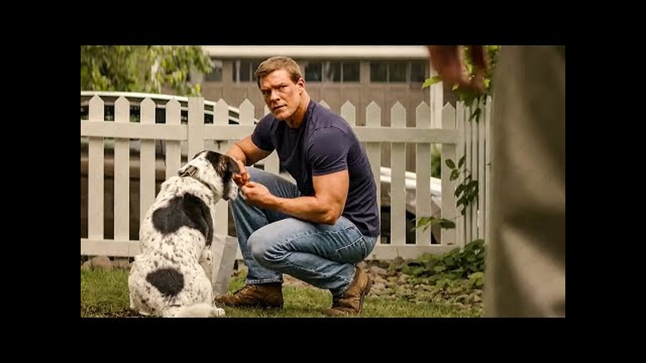 Jack Reacher VS. Dog Abuser | Reacher