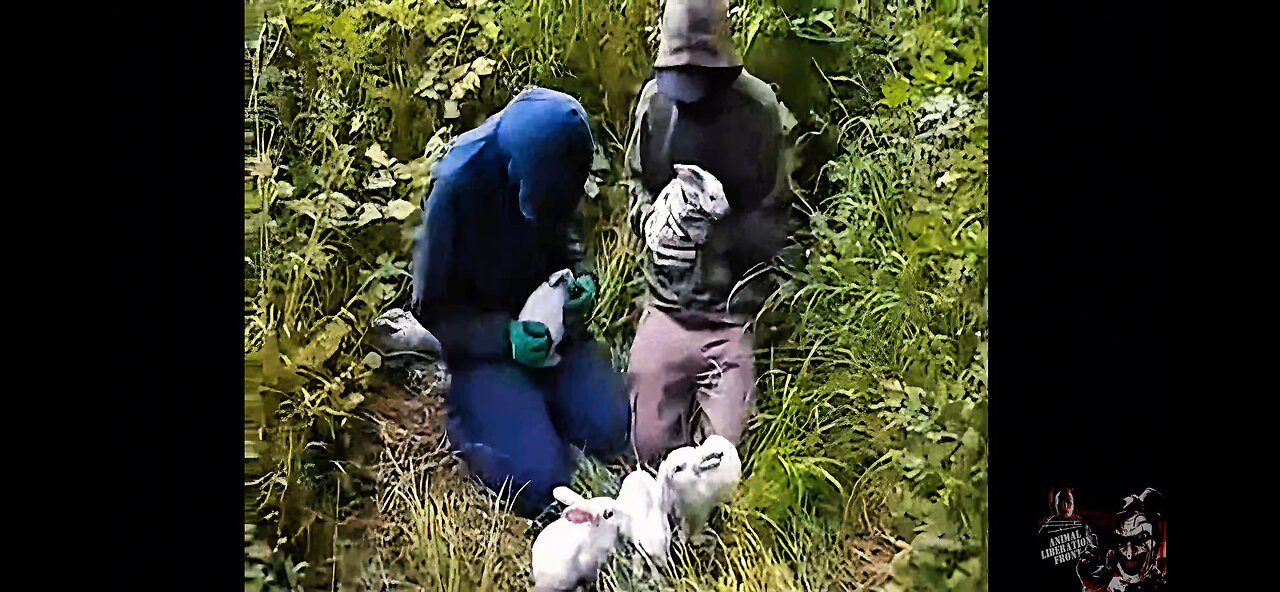 3200 Rabbits 🐇 Freed By The ALF