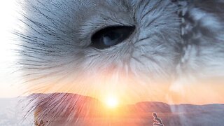 Sleeping Giants being captured by the Deep State