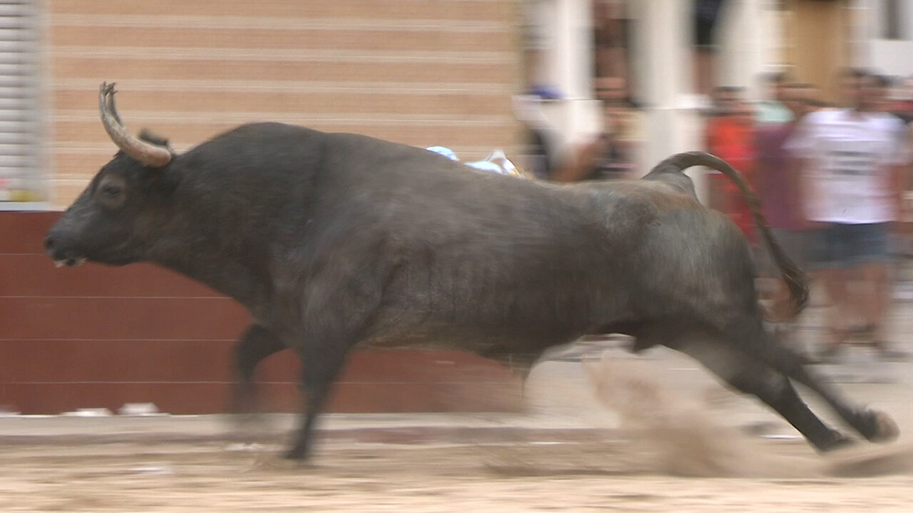 2025 08 02 EL PUIG SANT ROC