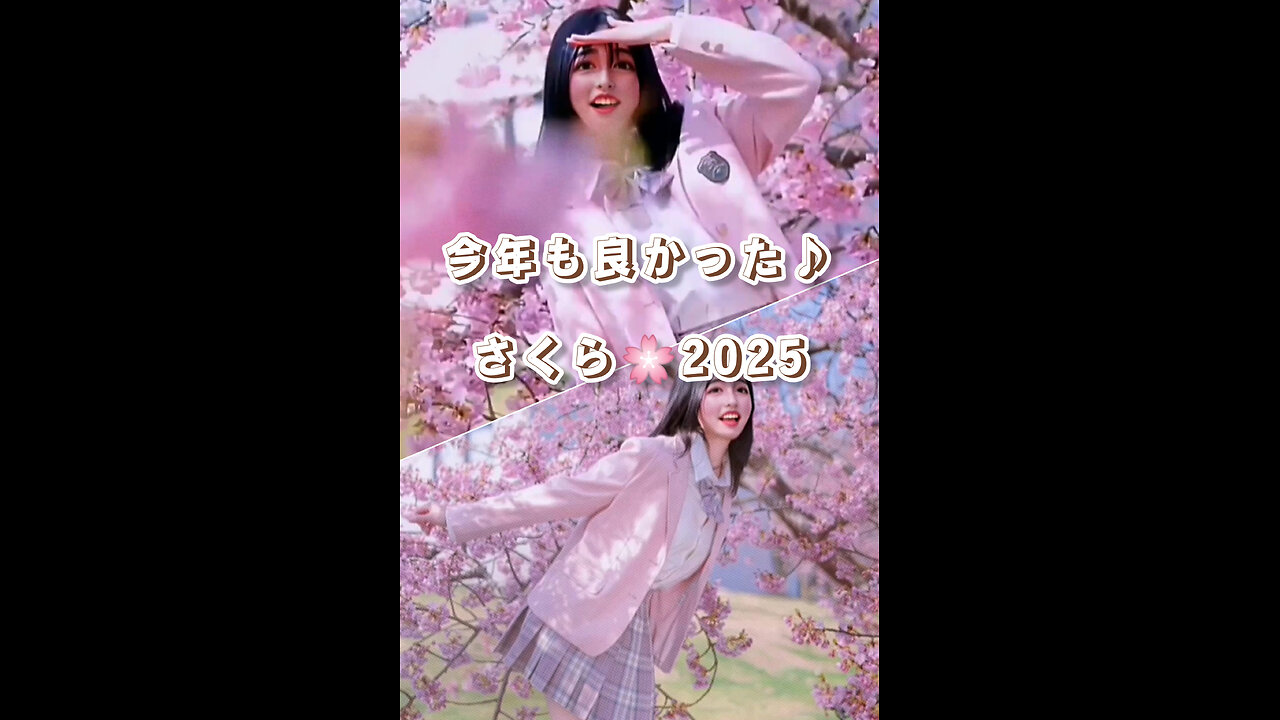 This year was great too♪ Sakura 2025'🌸Vol.1
