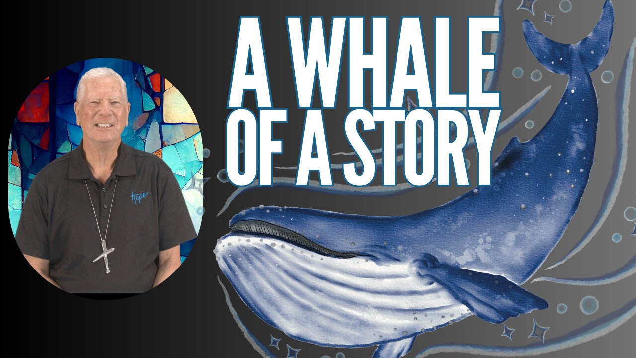 A Whale of a Story