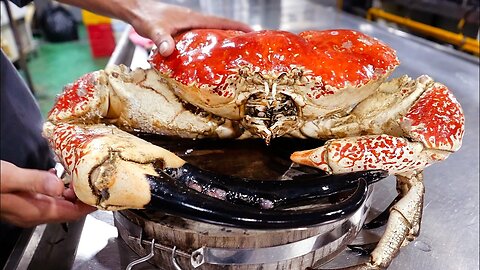 GIANT TASMANIAN KING CRAB Vietnamese Food Hang Duong Quan