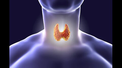 IODINE and the THYROID