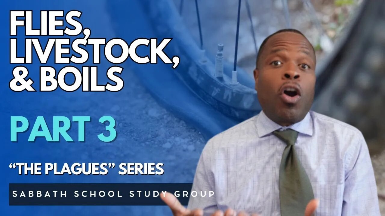 Flies, Livestock, & Boils in Exodus 9 - Part 3 of "The Plagues" Sabbath School Study Group