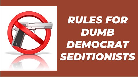 COMMON SENSE RULES FOR DUMB DEMOCRAT SEDITIONISTS