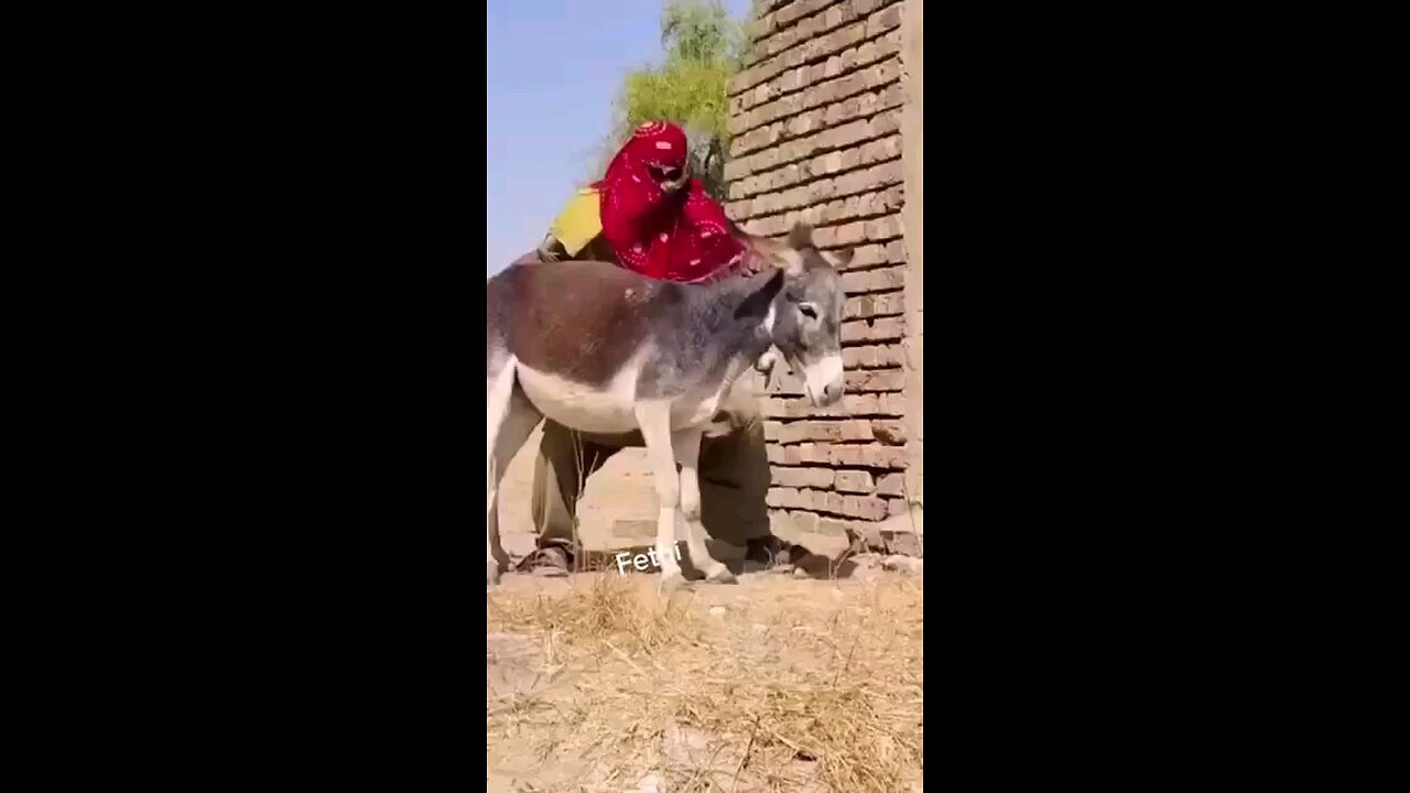ddd