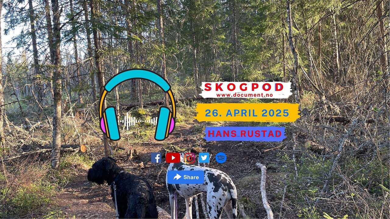 Skogpod 26. april 2025