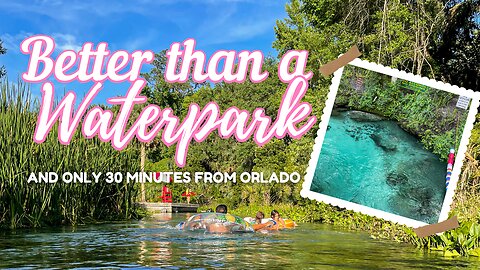 Things to do near Orlando | Camping at Kelly Park Rock Springs 