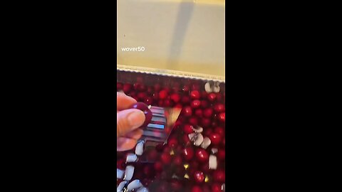 American got fresh cherries