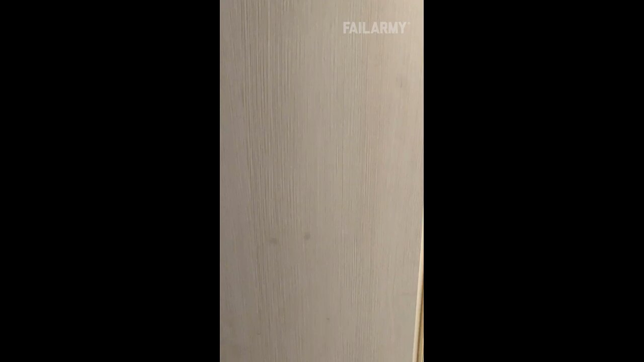 When Your Pet Forgets You're Watching…