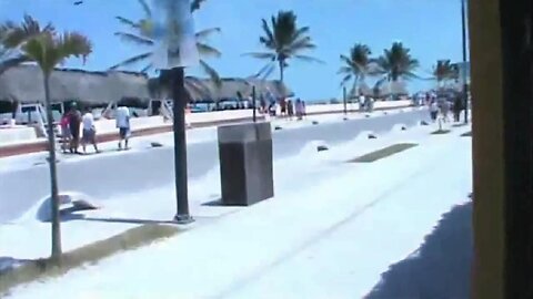 42.- Una aventura al puerto de Progreso II