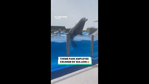 Wait for it⚠️😱