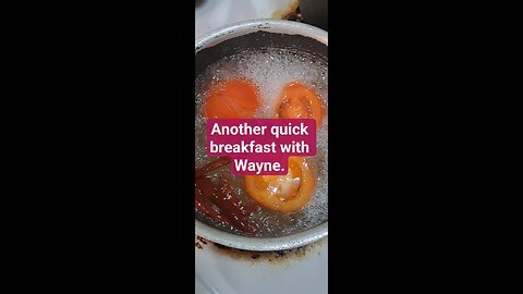 Quick breakfast?