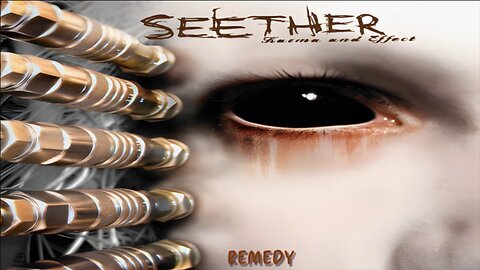 SEETHER- Remedy