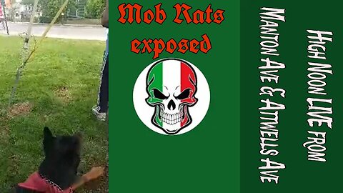 "MRE: Rocco News 🗞️ & Gump Talk - Manton Ave. High Noon Live" (14May2025) A 'MRE' Livestream