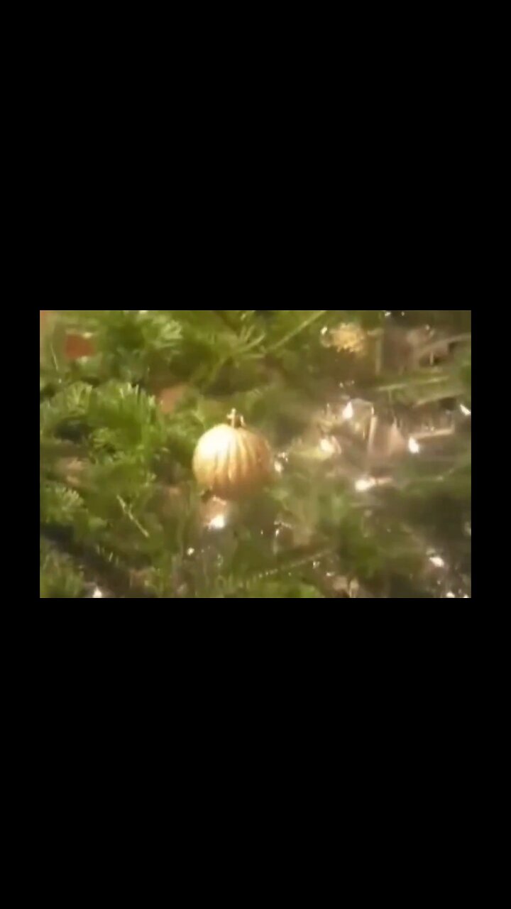 Ive Been Doing It Wrong My Whole Life…