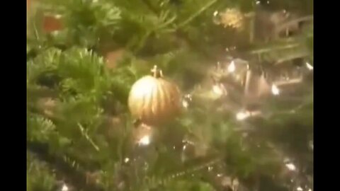 I've Been Doing It Wrong My Whole Life…