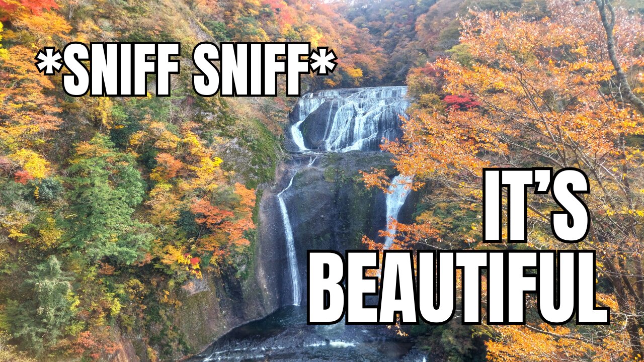 Japan's Third Most Beautiful Waterfall Is A Must See - Fukuroda Falls in November