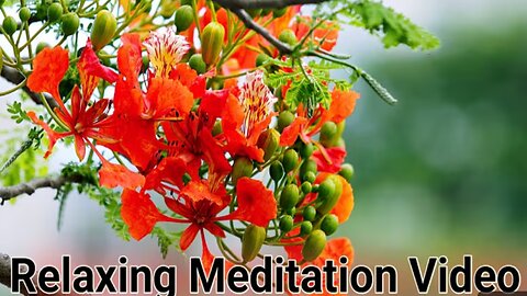 Relaxing Meditation Video with Stunning Abstract Visuals Perfect for Stress Relief Anywhere