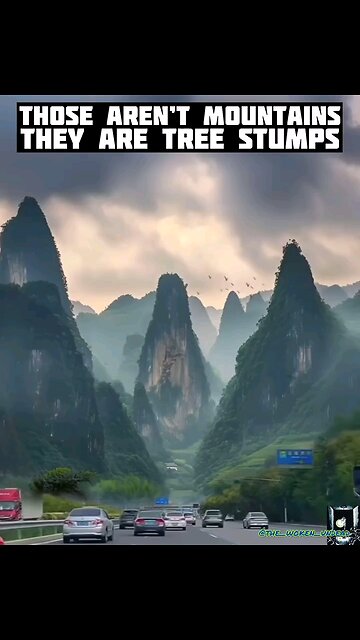 thier lieing to you😶‍🌫️