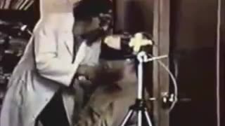 CNN Special Report EMF Directed Energy Weapons 1985 Weather & Mind Control