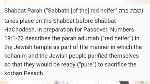 Mar 21, 2025-Watchman News-Jeremiah 17:7-8-"Do or Die" moment for EU, The Meat Crisis arises + More!