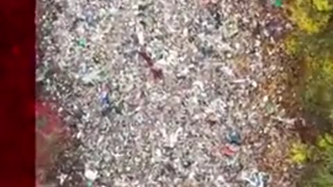 Location: Oxfordshire, India.: Import the Third World, Become the Third World.