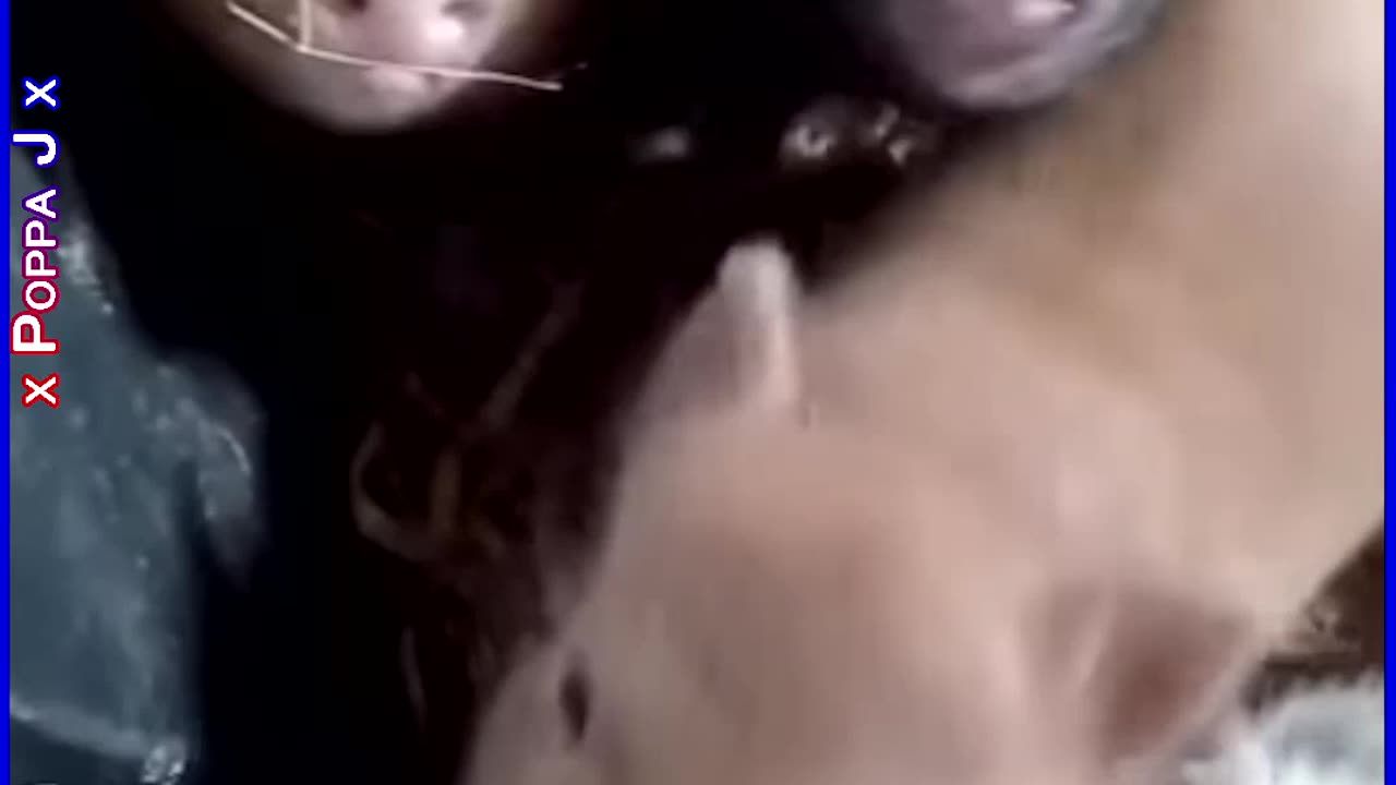 Everywhere an Oink Oink 🐽