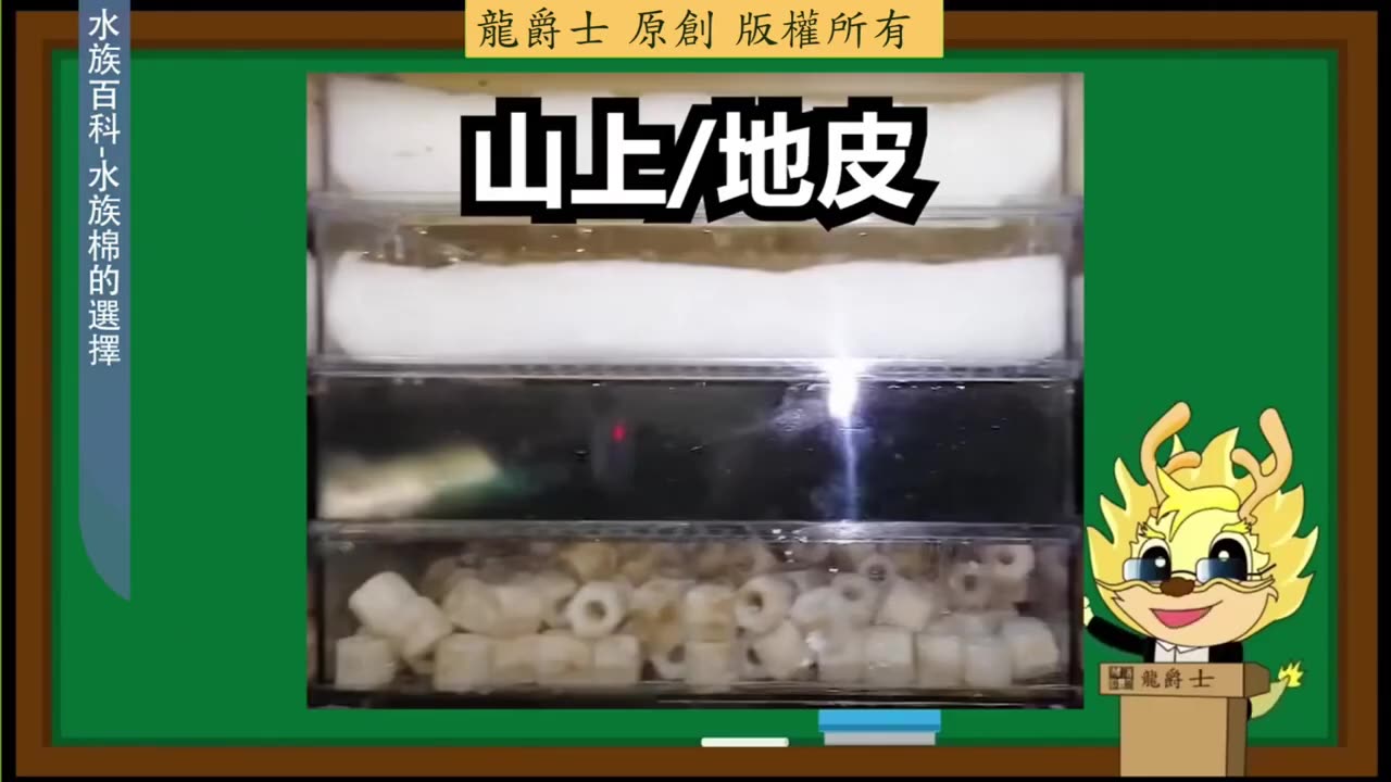 【龍爵士】水族百科 水族棉的選擇