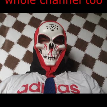 Evicted by My Own Cat