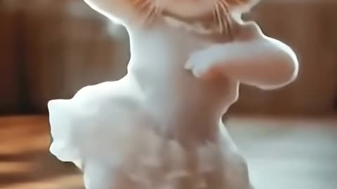 Chota bacha samjh ke cute cat dance