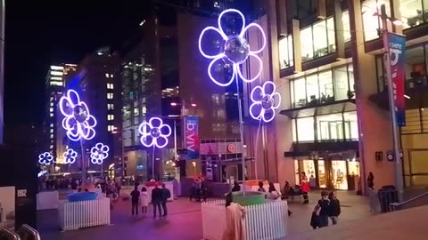Psyop synchronicity: Vivid Festival flower display evokes video I made earlier in the day