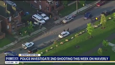2 dead niggers in 2 days on Fox 2 rattles da hood