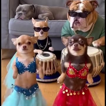 OMG shaking on the belly