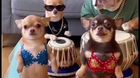 OMG shaking on the belly