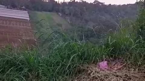Sunset Ride Through Countryside Roads