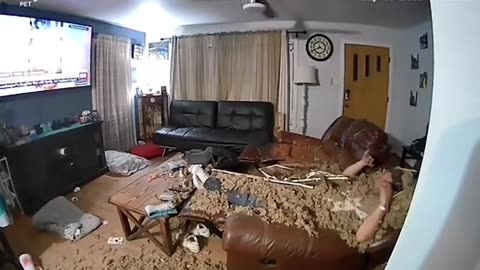 😂🤣🤣 Don't Watch Tv