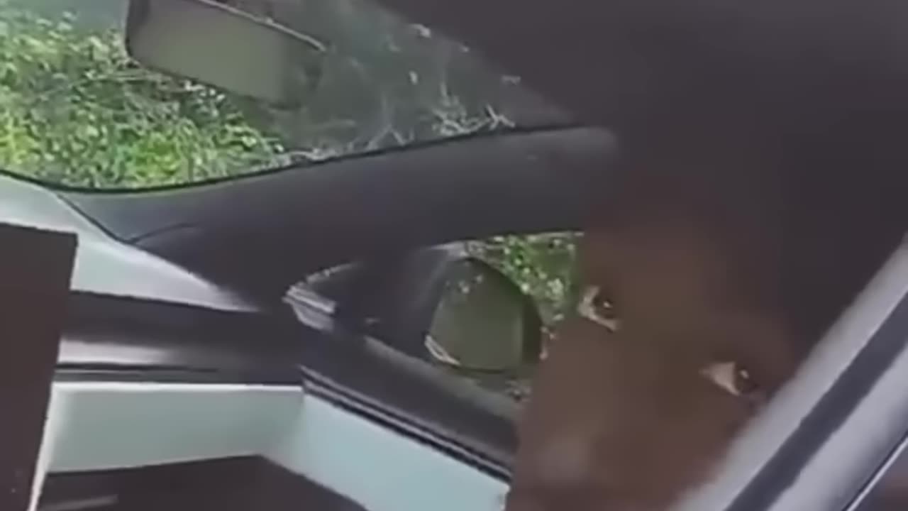 Tech YouTuber Marques Brownlee is PULLED OVER for traffic violations