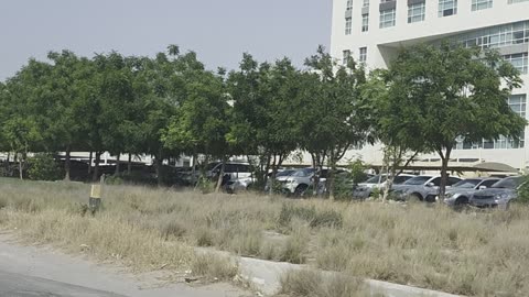 It's visiting to Ras al Khaimah