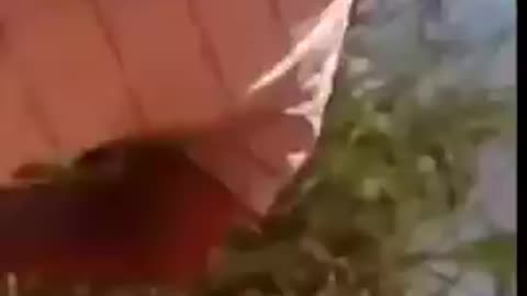 Fuel tank truck explosion in Brazil