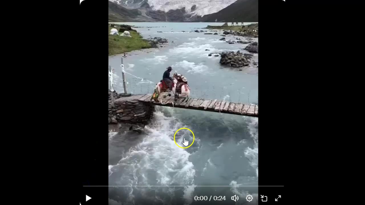 Never Believe A Horse Story That Blames The Horse