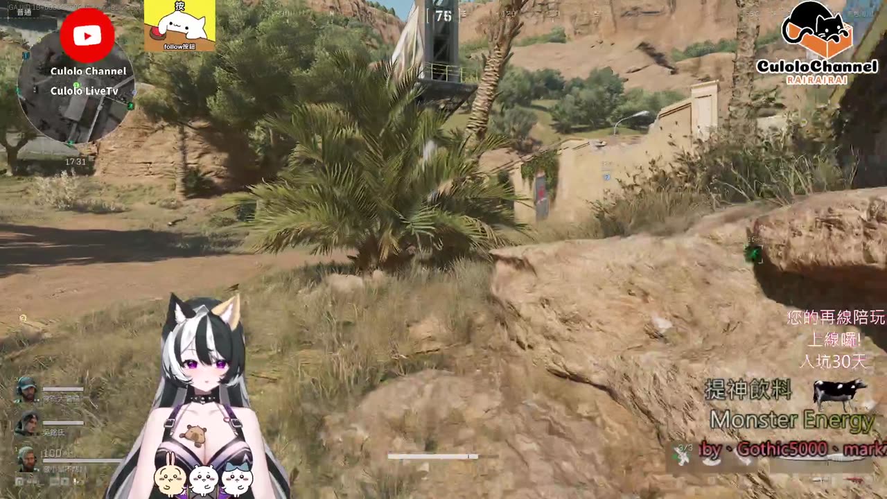 🌱vs🧟♀️ New version⭐新手向⭐🥺倉鼠系玩家🥺| 來聊天R ✨💎(๑˃̵ᴗ˂̵)و Culolo Channel(๑˃̵ᴗ˂̵)و 5 Taiwan優質台💎✨