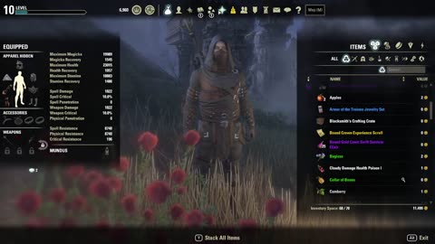 Wolf Slumbers Live Stream 24