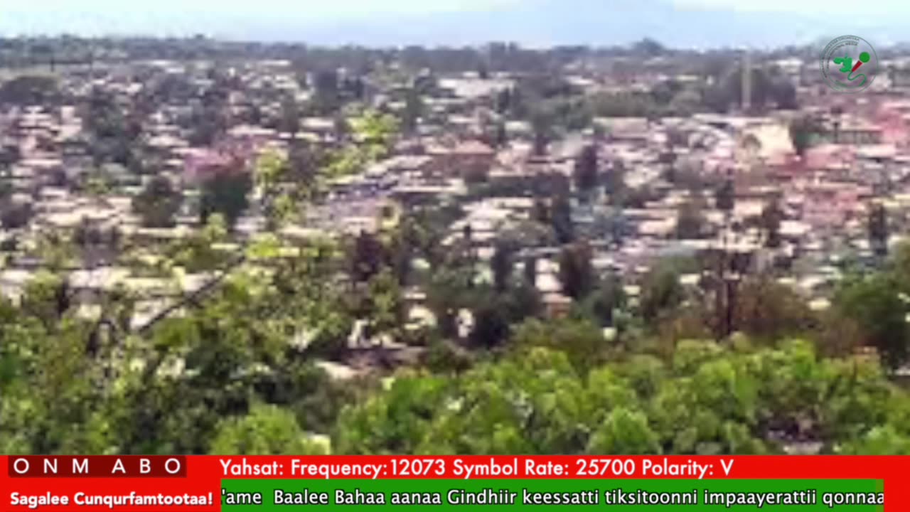 Oduu Waaree ONM-ABO Waxaabajjii 10-2025 itti dhiyaadhaa!