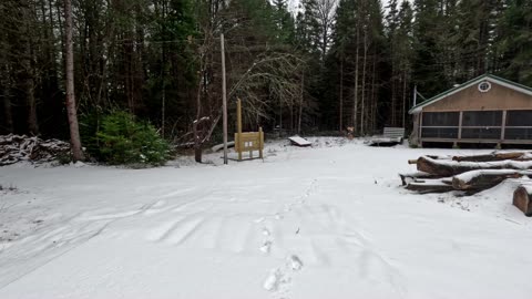 Long Overdue Project Update