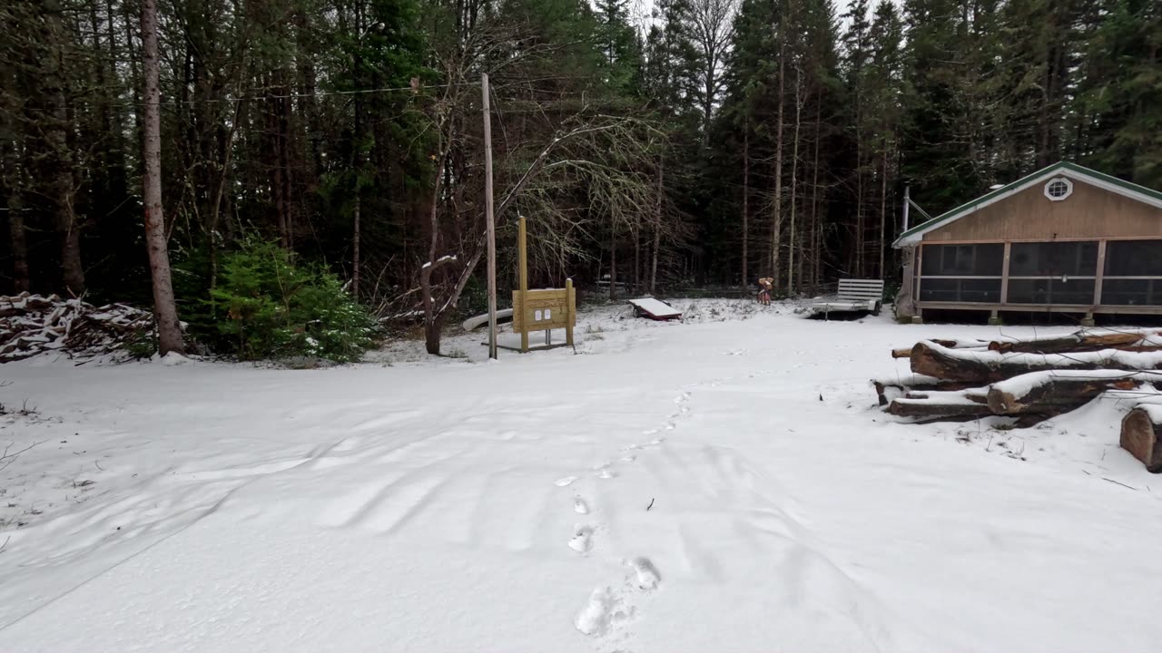 Long Overdue Project Update